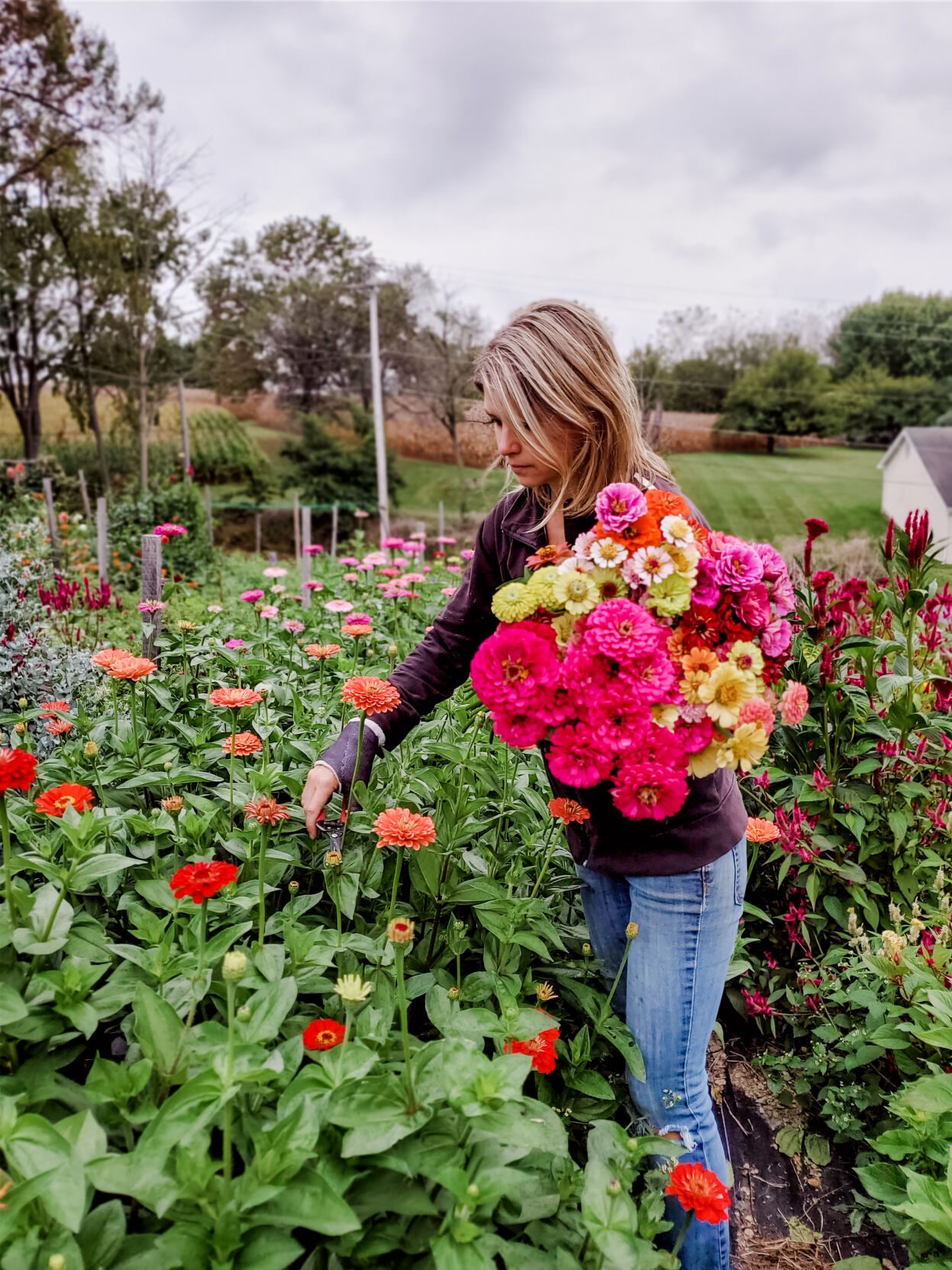 Cool Spring Garden